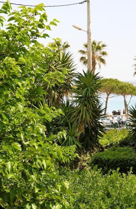 Blue Summer Vibes Duplex Studio For 4P, Ac, Sea View, Parking, Beach At 50M, Spa Access -3 La Ciotat Buitenkant foto